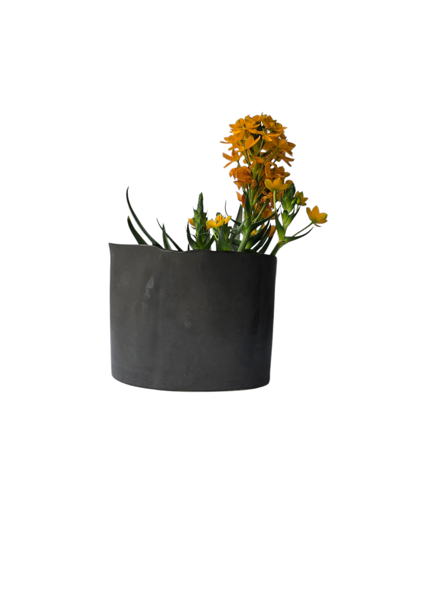 black oval vase