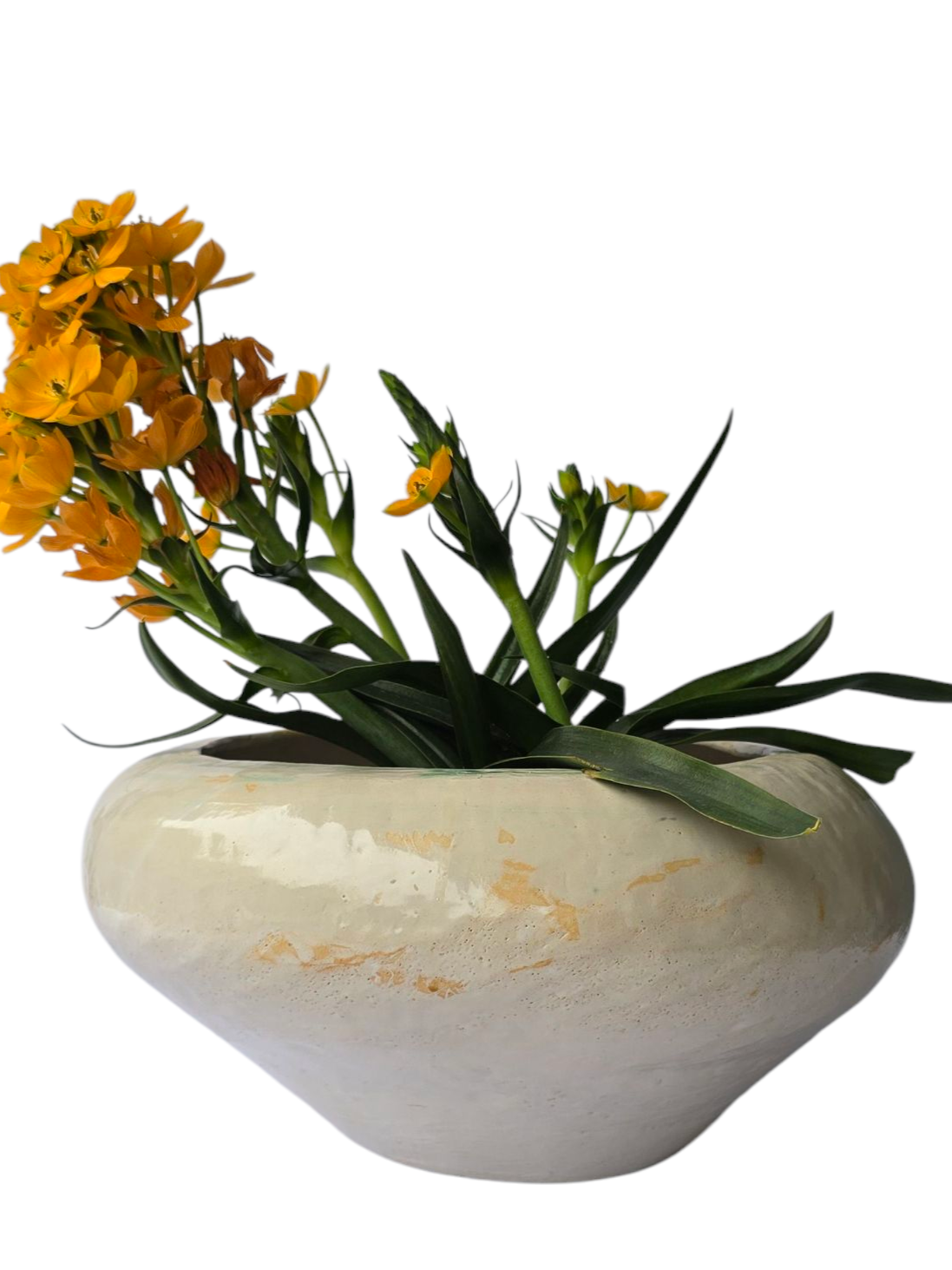 WHITE VASE