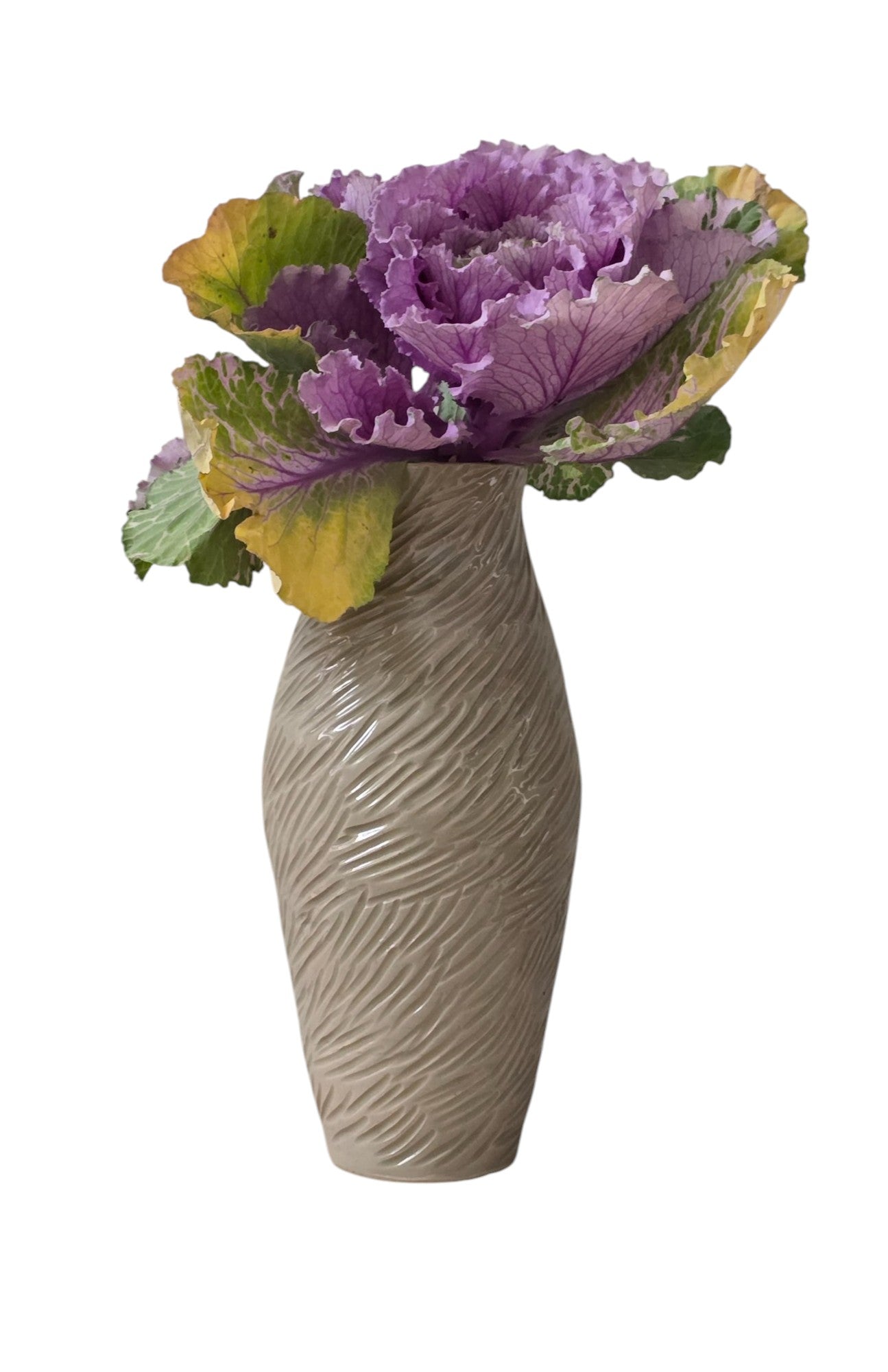 VASE 2/6 SERIE